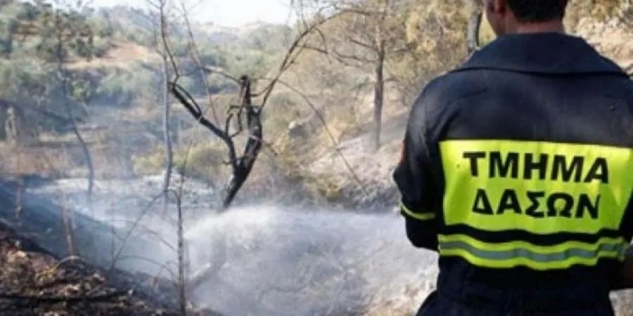 Υπό έλεγχο τρεις πυρκαγιές σε Λεμεσό, Λάρνακα και Πάφο